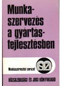 Parányi György,Lakárdy Zsolt,Sándor Jenő dr. - Munkaszervezés a gyártásfejlesztésben