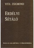 Vita Zsigmond - Erdélyi sétáló