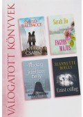 Walls, Jeannette,Jio, Sarah,Henry, Sara J.,David BALDACCI - A végső csapás / Fagyos május / Hideg és kietlen hely / Ezüst csillag