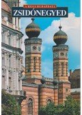 N. Kósa Judit - A régi budapesti zsidónegyed