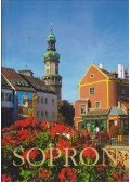 Winkler Gábor - Sopron