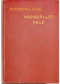 Rudnyánszky Gyula - Napszállat felé