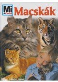 Rainer Köthe - Macskák