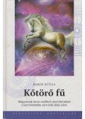 Bakos Attila - Kőtörő fű
