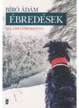 Bíró Ádám - Ébredések Bíró Ádám - Ébredések, Budapest 2016 antikvár könyv