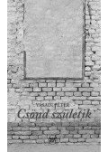 Vasadi Péter - Csönd születik ÜKH 2016
