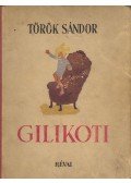 Török Sándor - Gilikoti