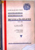 Dr. Petz Aladár - Győr szabad királyi város Szentháromság közkórházának multja és jelene