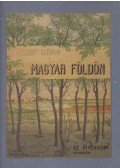 Bársony István - Magyar földön