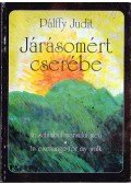 Pálffy Judit - Járásomért cserébe
