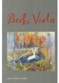 Furkó Zoltán - Berki Viola képíró művészete