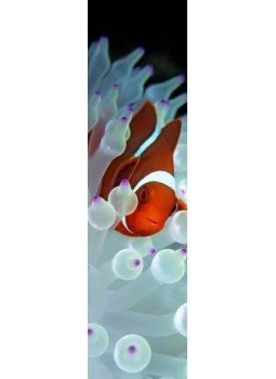 MCA25 - Bohóchal 3D könyvjelző  200 x 55 mm B, null 2016 antikvár könyv