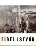 -- - Meghívó Eigel István festőművész kiállításának megnyitójára