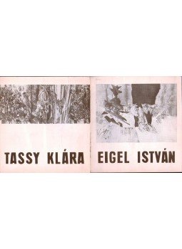 -- - Meghívó Tassy Klára és Eigel István festőművészek kiállításának megnyitására,  1980 antikvár könyv