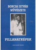 Ferenczi Nagy Kamil (szerk.) - Borcsa István művészete X.