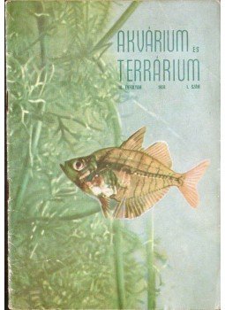Boros István - Akvárium és terrárium III. évf. 1958/1. szám Boros István - Akvárium és terrárium III. évf. 1958/1. szám, 1958 antikvár könyv