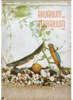 Boros István - Akvárium és terrárium III. évf. 1958/2. szám Boros István - Akvárium és terrárium III. évf. 1958/2. szám, 1958 antikvár könyv