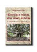 Bertold Ulsamer - Gyökerek nélkül nem lehet repülni