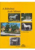 Hecker Walter - A Bábolnai Arab Ménes