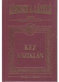 LŐRINCZ L. LÁSZLÓ - Kéz a sziklán
