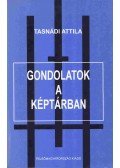 Tasnádi Attila - Gondolatok a képtárban