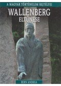 Bern Andrea - Wallenberg eltűnése