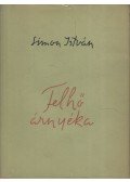 Simon István - Felhő árnyéka