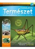 . - CSODÁLATOS TERMÉSZET 14. + Tücsök