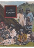 Bencsik Gábor - Cigányokról