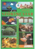 Németh Lászlóné,Seregély Istvánné - Szókincstár kislexikon