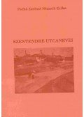 Pethő Zsoltné Németh Erika - Szentendre utcanevei