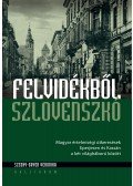 Szeghy,Gayer Veronika - Felvidékből Szlovenszkó - Magyar értelmiségi útkeresések Eperjesen és Kassán a két világháború között