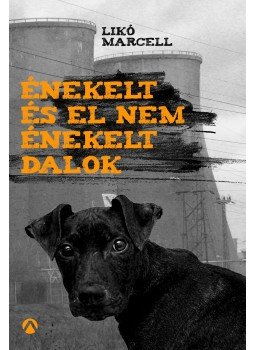 Likó Marcell, Géczi János - Énekelt és el nem énekelt dalok Likó Marcell, Géczi János - Énekelt és el nem énekelt dalok, Budapest 2016 antikvár könyv