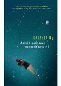 Celeste Ng - Amit sohase mondtam el