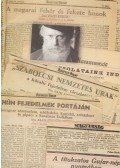 Zajti Ferenc - Tudósítások indiából