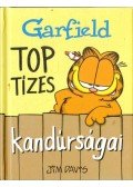 Kraft, Jim,Acey, Mark - Garfield top tízes kandúrságai