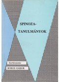 Boros Gábor - Spinoza-tanulmányok