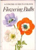 Ing. Eva Petrová - A Concise Guide in Colour Flowering Bulbs