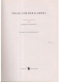 Koffán Károly - Vögel vor der kamera