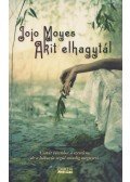 Jojo Moyes - Akit elhagytál