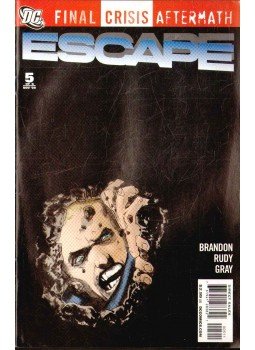 Brandon, Ivan, Richards, Cliff - Final Crisis Aftermath: Escape 5. Brandon, Ivan, Richards, Cliff - Final Crisis Aftermath: Escape 5., 2009 antikvár könyv