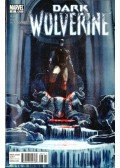 Way, Daniel,Liu, Marjorie,Pierfederici, Mierco - Dark Wolverine No. 87
