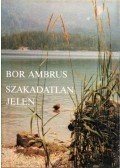 Bor Ambrus - Szakadatlan jelen