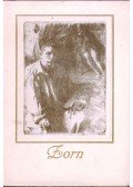 Dr. Térey Gábor - Anders Zorn eredeti rézkarcainak kiállítása