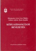 Botos Katalin,Bittsánszky Géza,Ivicz Mihály,Schlett András - Közgazdaságtani bevezetés