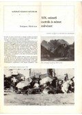Cifka Brigitta - XIX. századi osztrák és német művészet