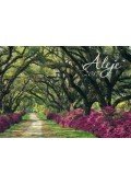 SmartCalendart Kft. - SG Naptár Sétány 2017 48x34cm