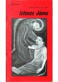 Walter Nigg - Rossz fából való szent Istenes János