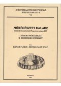 Rómer Flóris,Henszlmann Imre - Műrégészeti kalauz különös tekintettel Magyarországra I-II. (egyben, reprint)