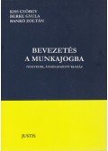 Kiss György,Berke Gyula,Bankó Zoltán - Bevezetés a munkajogba